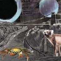 Green Cosmos (Deerhoof)