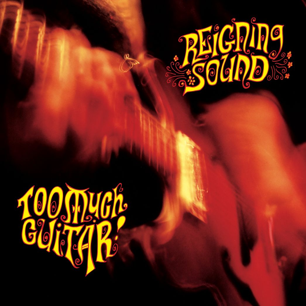 Too Much Guitar