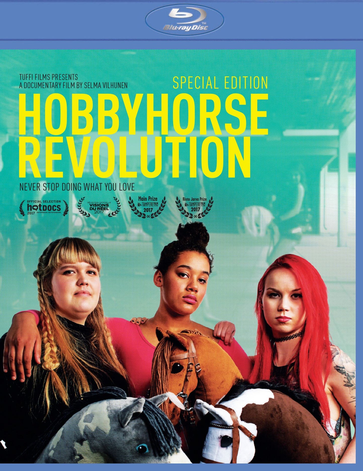 Hobbyhorse Revolution