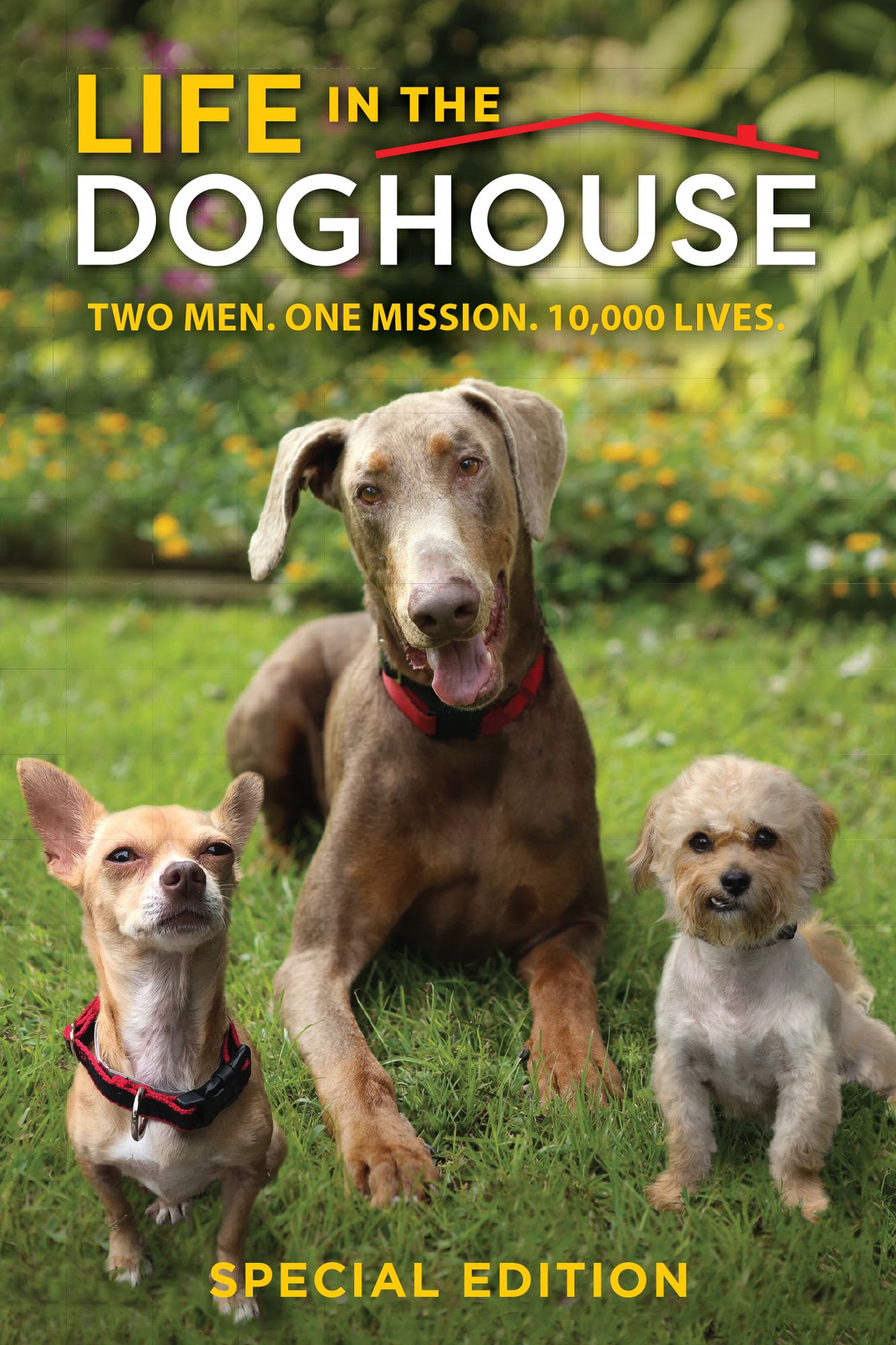 Life In The Doghouse