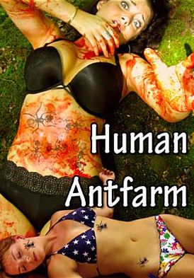 Human Antfarm