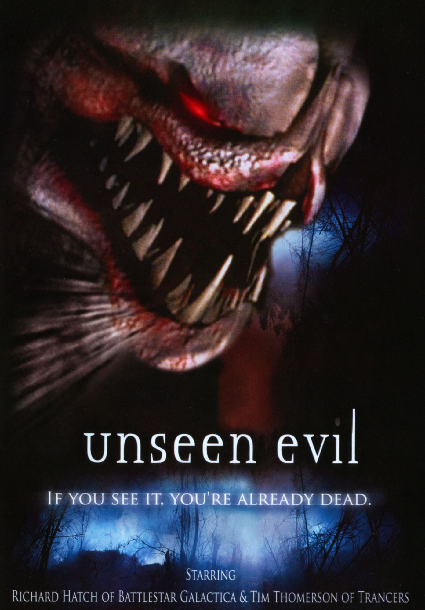 Unseen Evil
