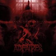 Scorn Aesthetics