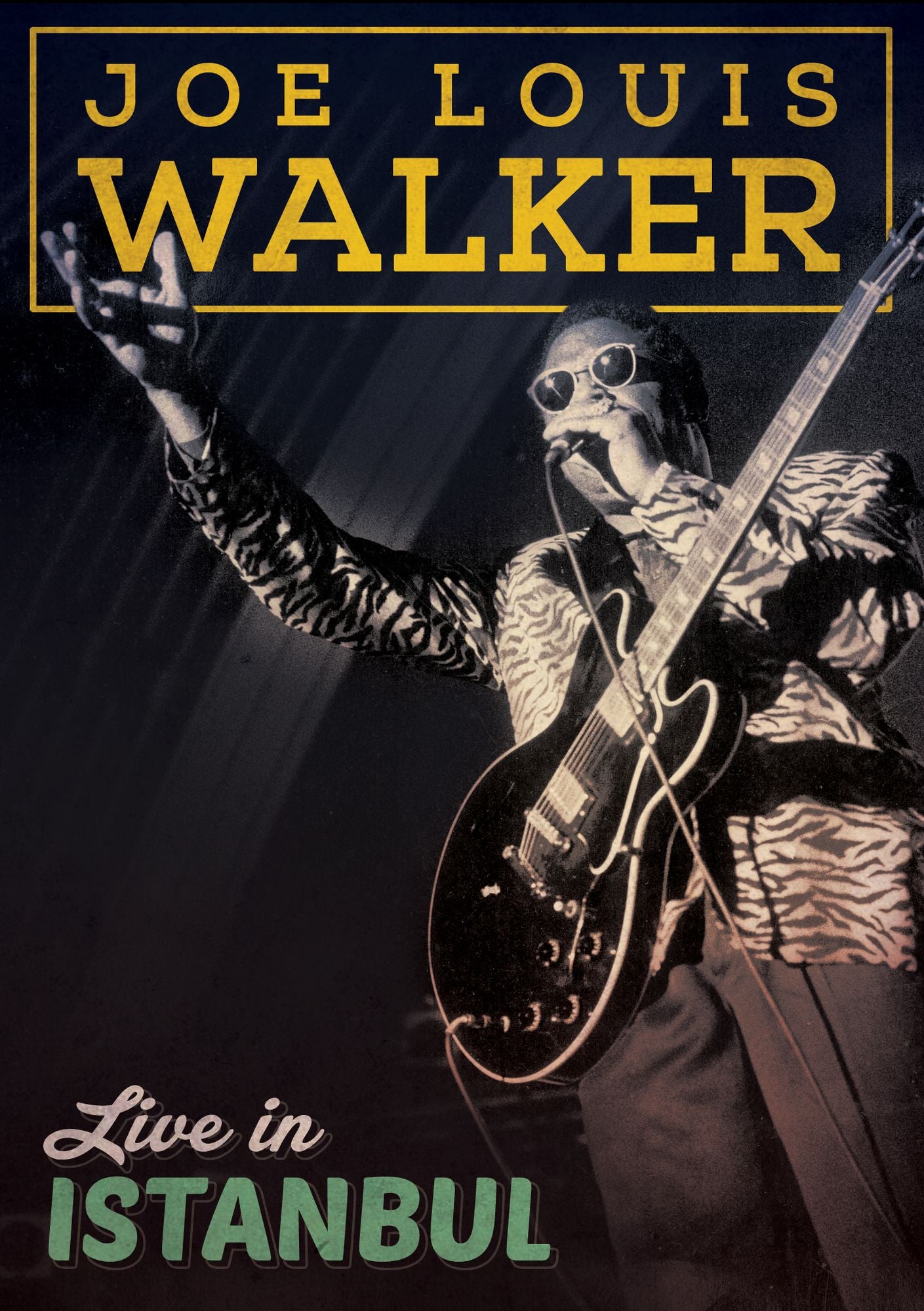 Joe Louis Walker: Live In Istanbul