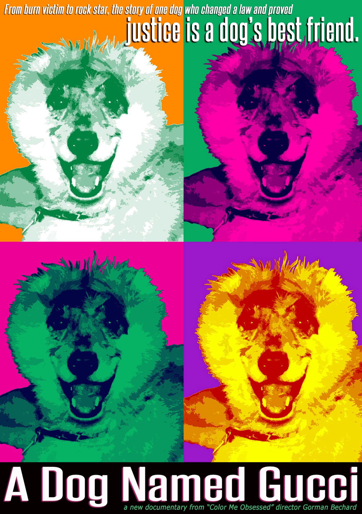 A Dog Named Gucci