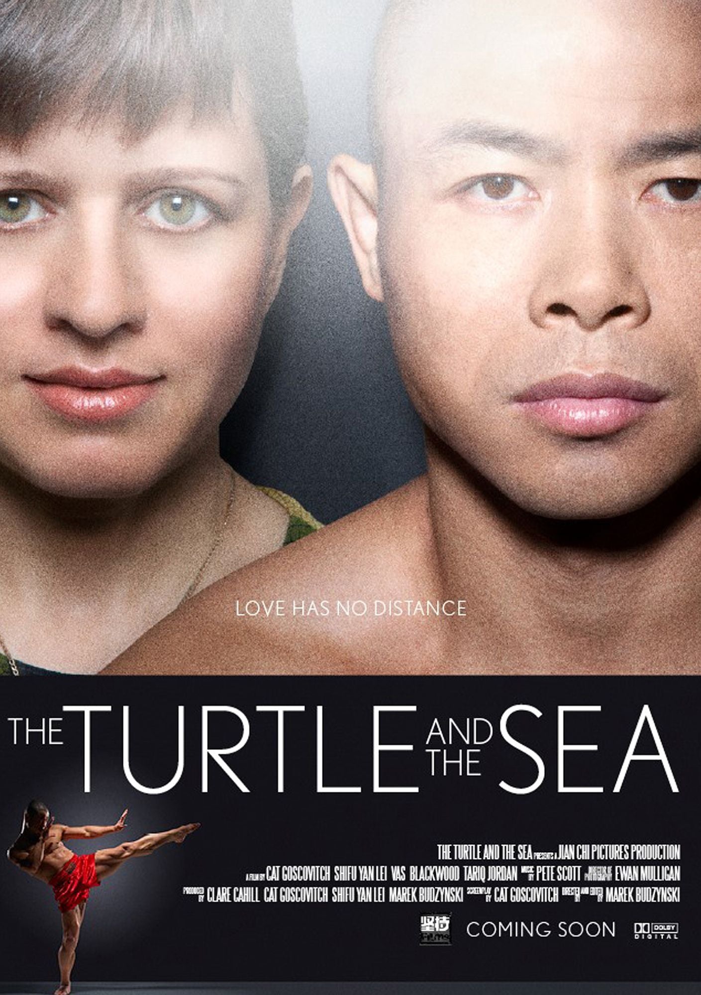 The Turtle And The Sea