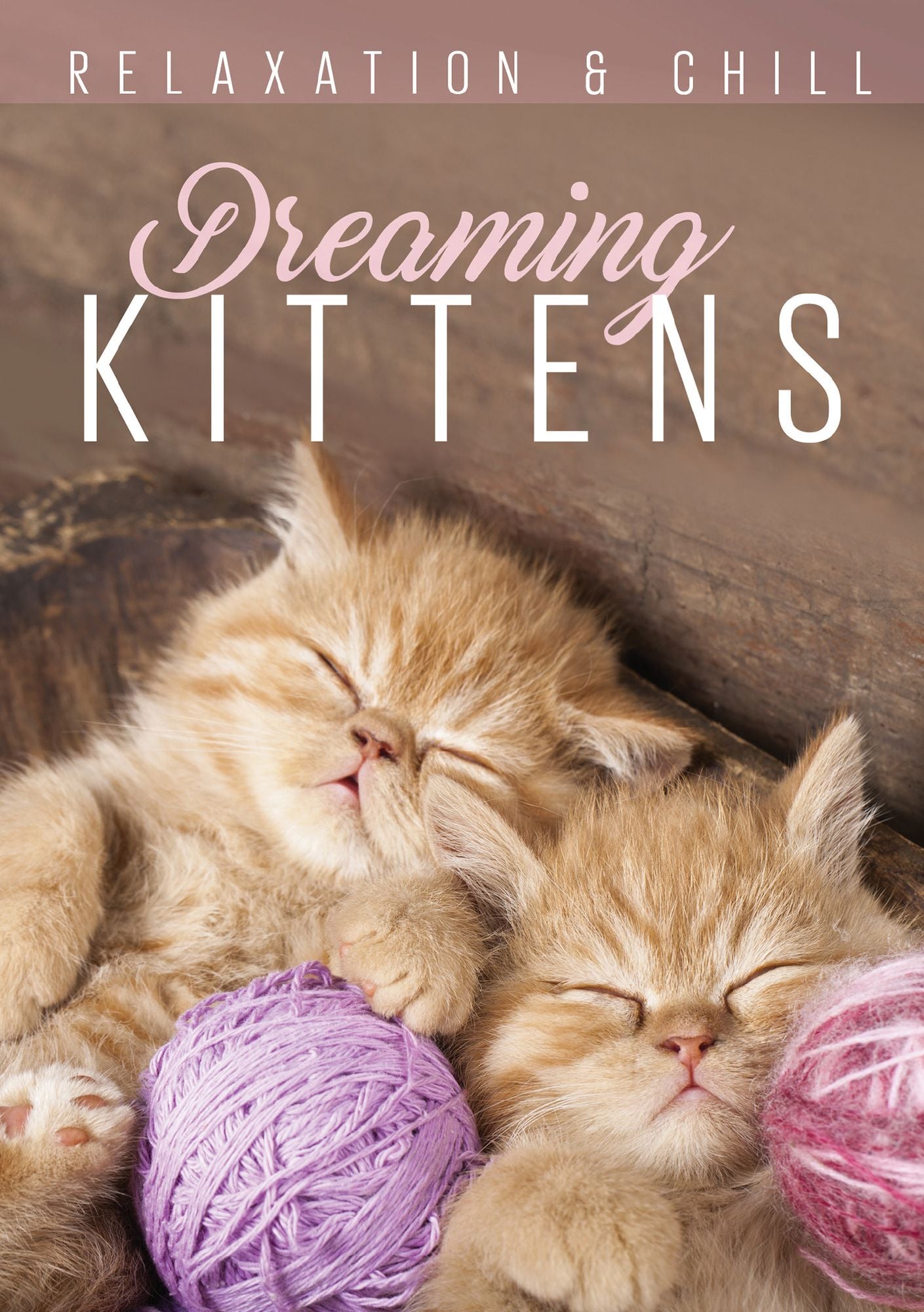 Relaxation & Chill: Dreaming Kittens