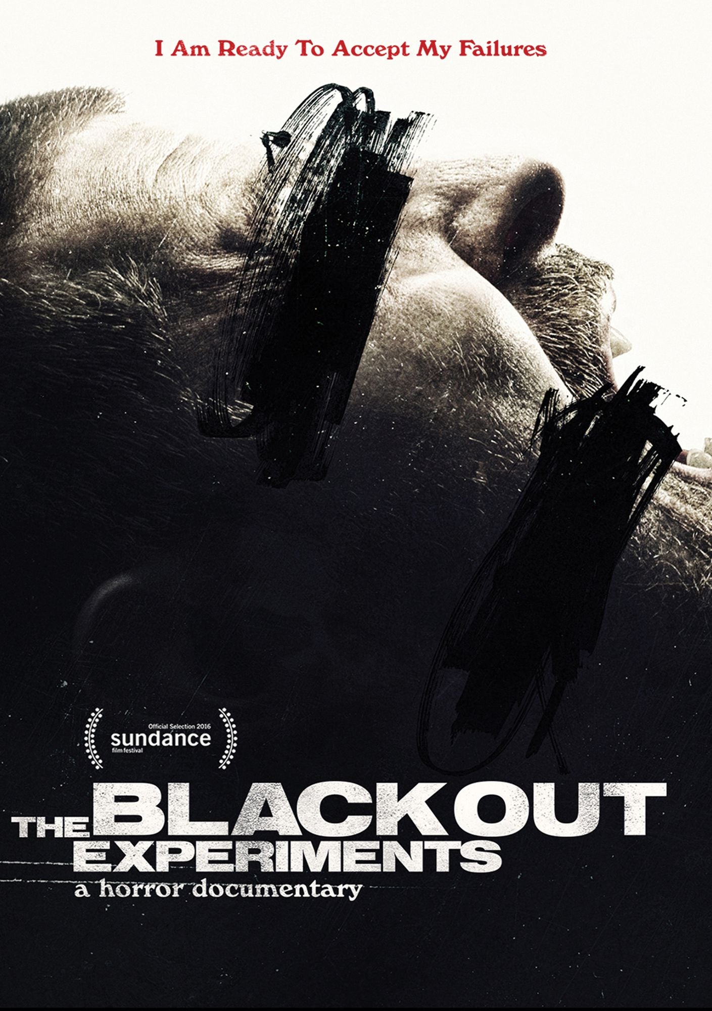 The Blackout Experiments