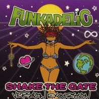Shake The Gate: Version Excursion