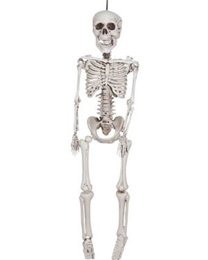 Sunstar Industries 80010 Realistic Plastic Skeleton 36 Inch