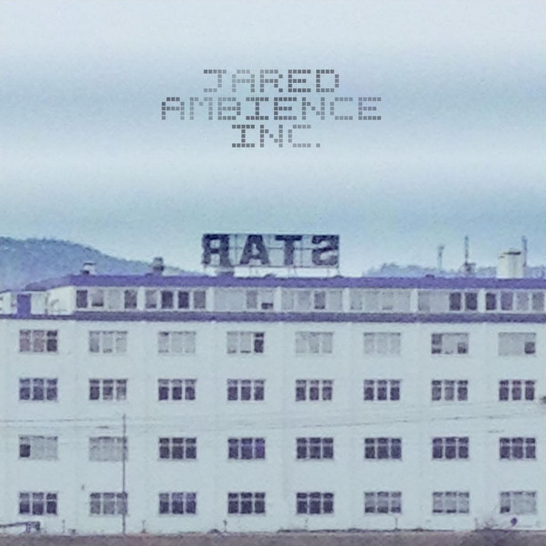 Rats