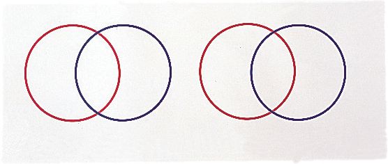 LEARNING RESOURCES LER0215 GRAPH IT! MAT GRID/VENN DIAGRAM-42 X 72 MAT 4 X 12 GRID