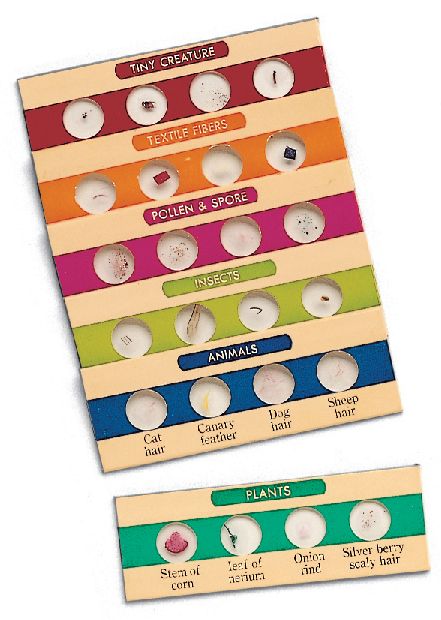 LEARNING RESOURCES LER2039 PREPARED SLIDES SET 1 6 SLIDES 24 SPECIMENS