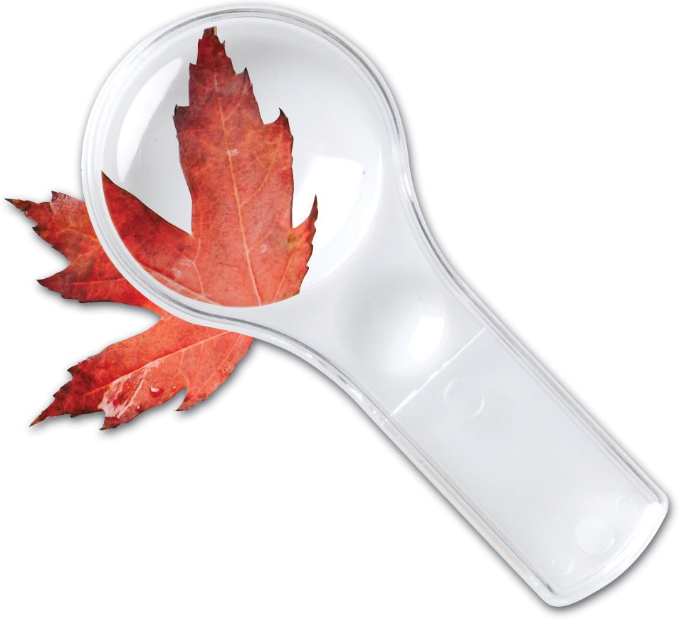 Learning Resources LER2046 Dual Lens Magnifiers