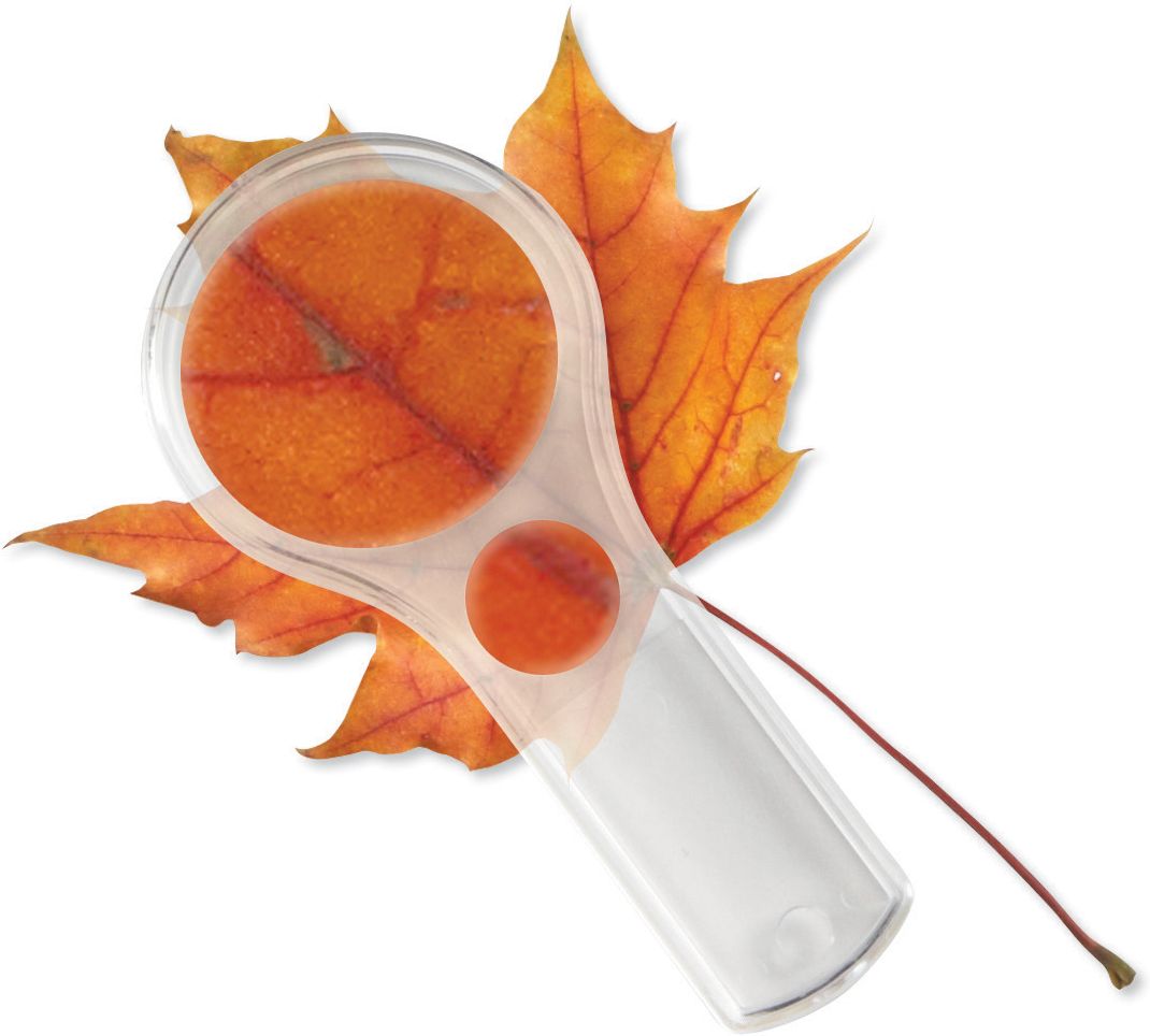 Learning Resources LER2046 Dual Lens Magnifiers