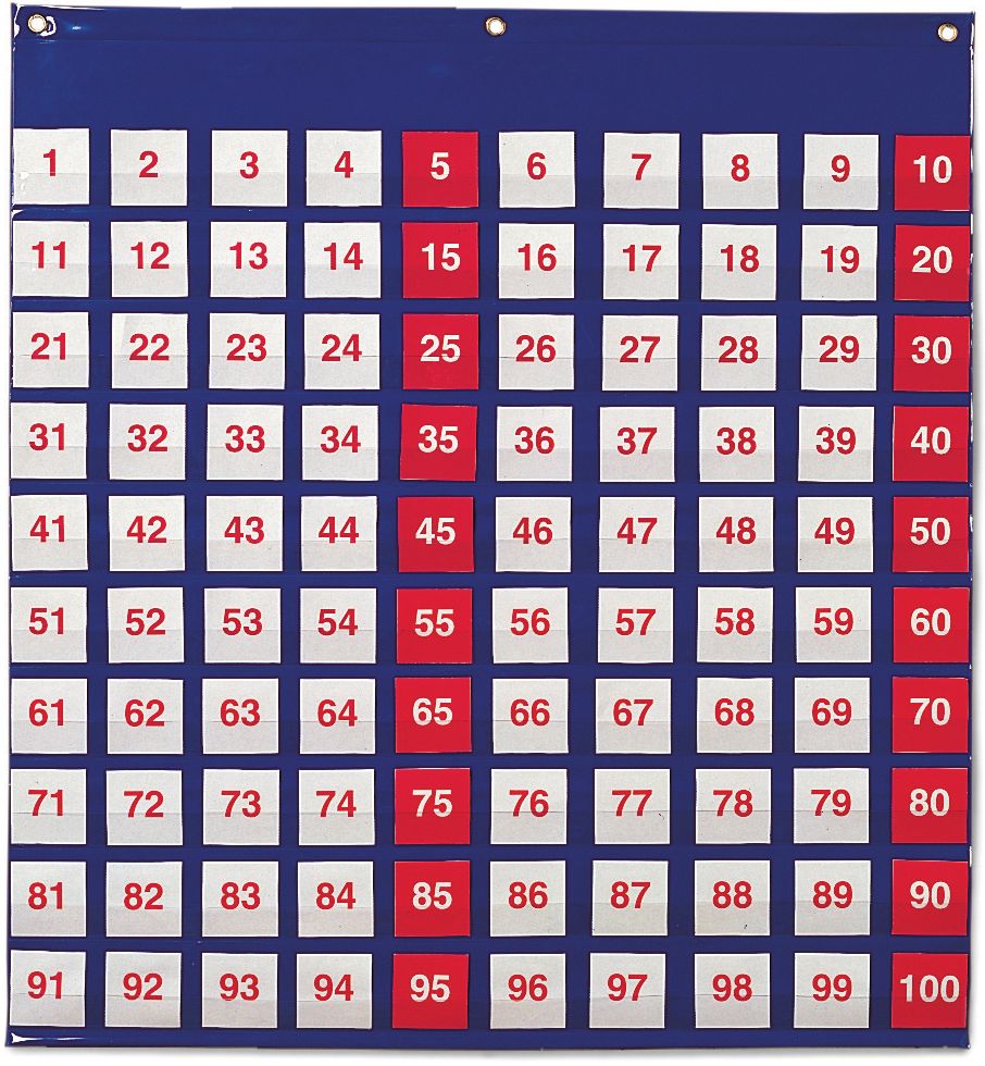 LEARNING RESOURCES LER2208 POCKET CHART HUNDREDS-26H X 27-1/2