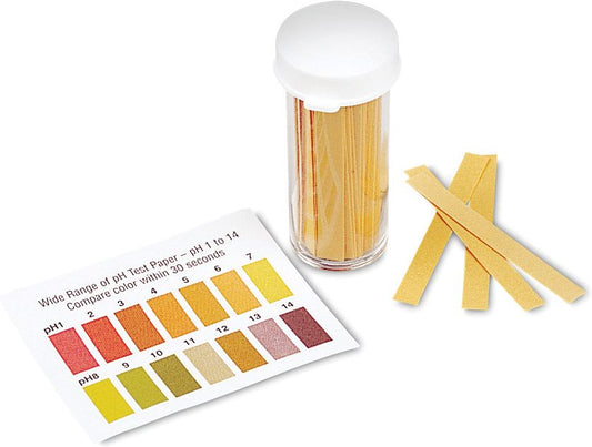 LEARNING RESOURCES LER2480 PH PAPER-100 STRIPS