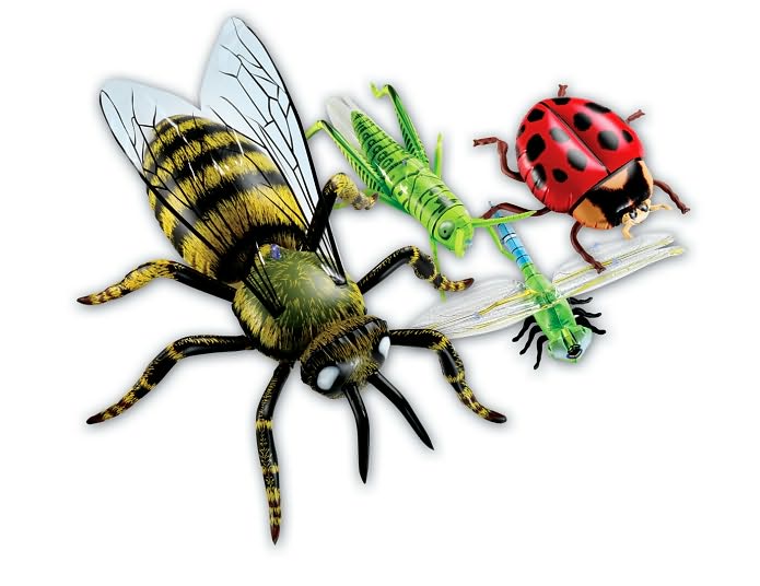 Inflatable insects Set of 5
