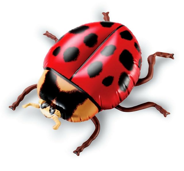 Inflatable insects Set of 5