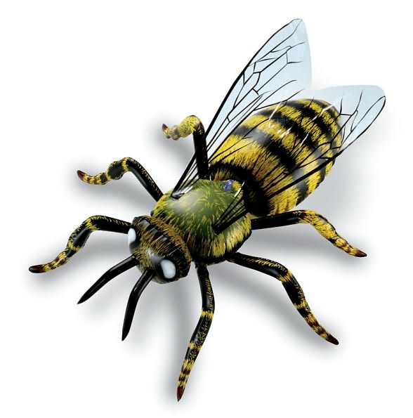 Inflatable insects Set of 5