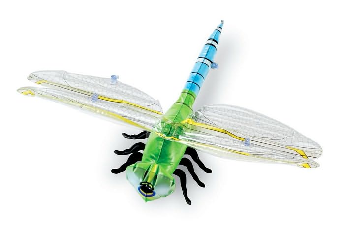 Inflatable insects Set of 5