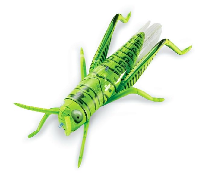 Inflatable insects Set of 5