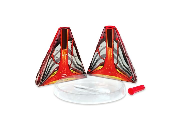 Erupting Volcano Model
