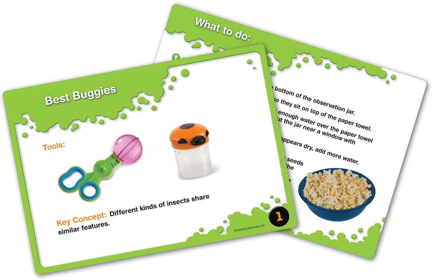 Primary Science Outdoor Discovery Set