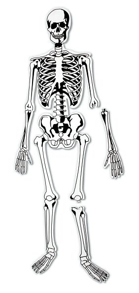 Skeleton Floor Puzzle