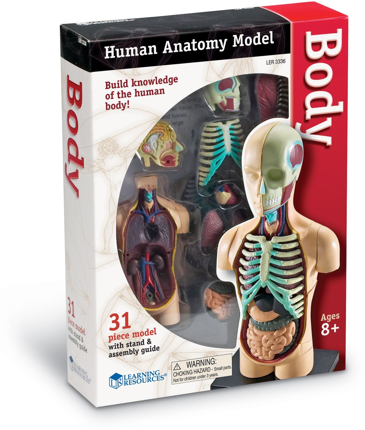 Learning Resources LER3336 Model Human Body Anatomy