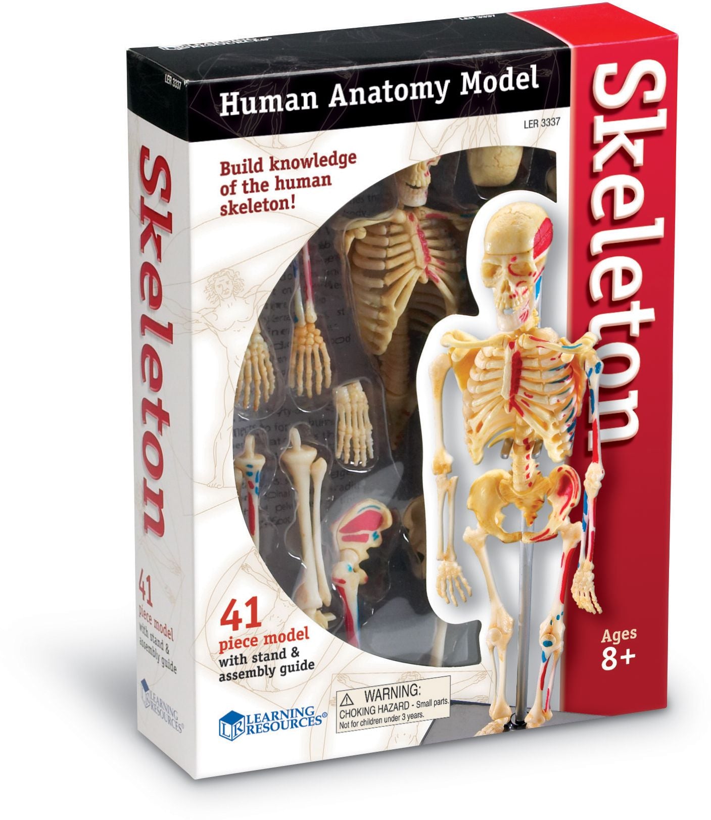 Learning Resources LER3337 Model Skeleton