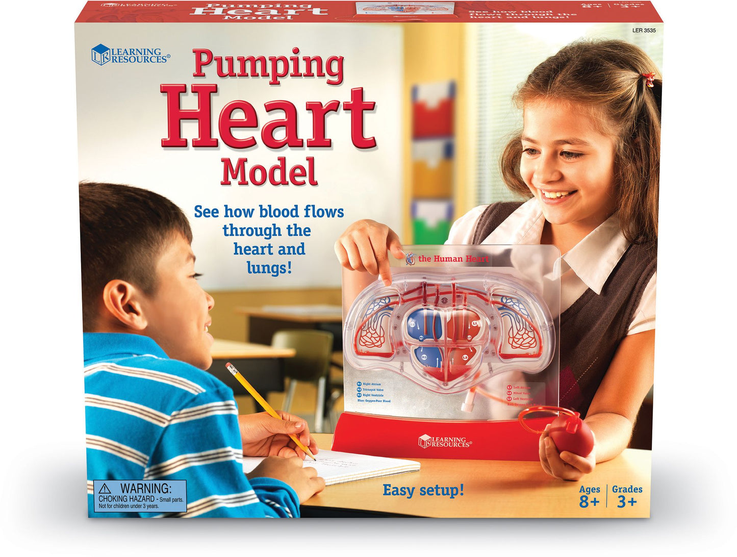Learning Resources LER3535 Pumping Heart Model