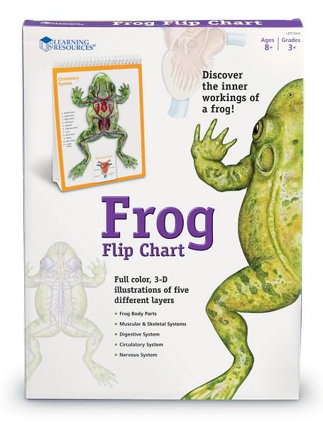 Frog Flip Chart