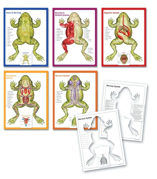 Frog Flip Chart