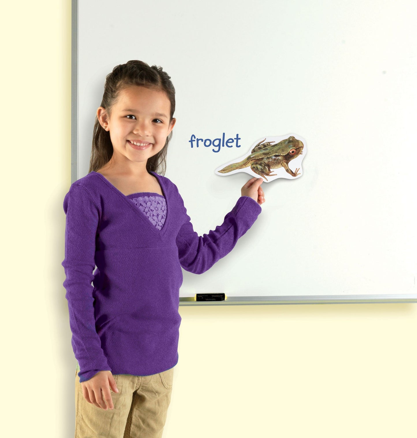 Learning Resources LER6041 Giant Magnetic Frog Life Cycle