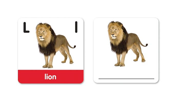 Learning Resources LER6080 Alphabet Photo Cards