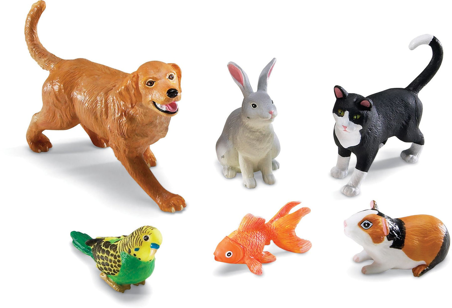 Jumbo Domestic Pets