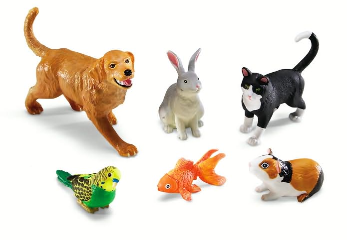 Jumbo Domestic Pets