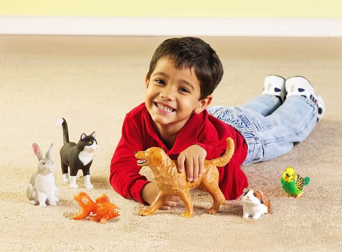 Jumbo Domestic Pets