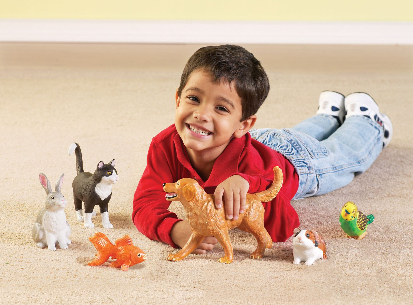 Jumbo Domestic Pets
