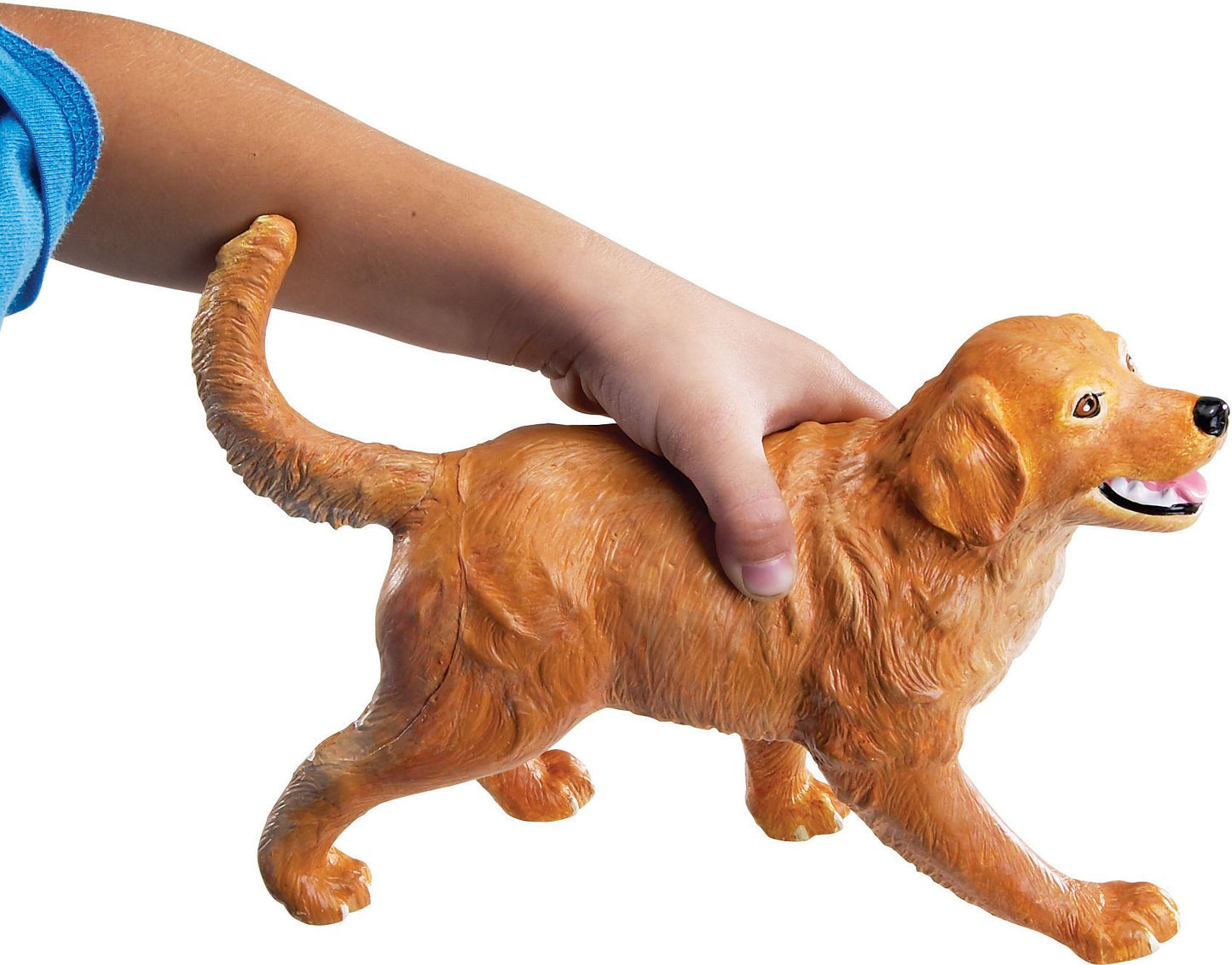 Jumbo Domestic Pets