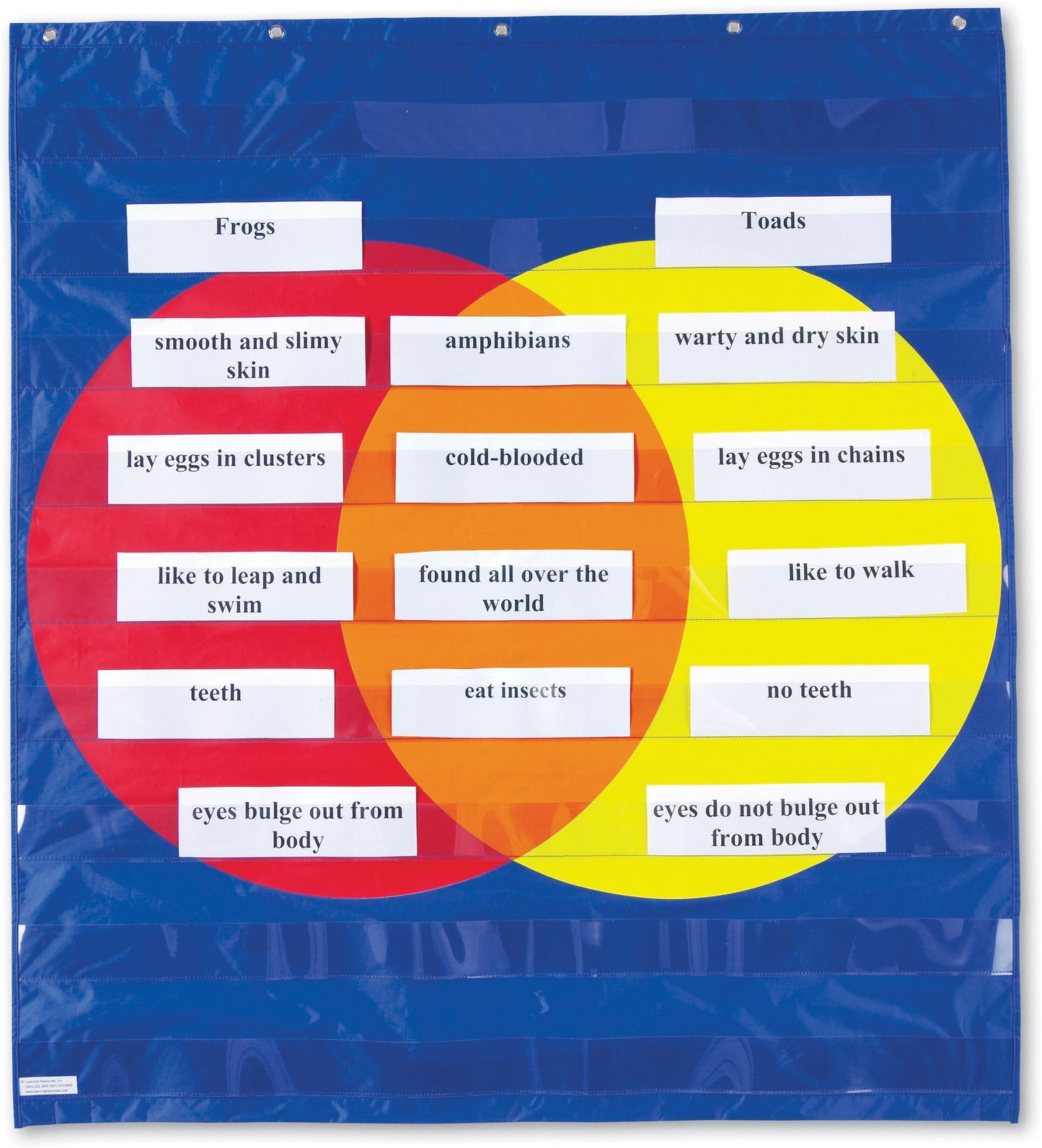 Learning Resources Graphic Organizer Pocket Chart - Grades K-5