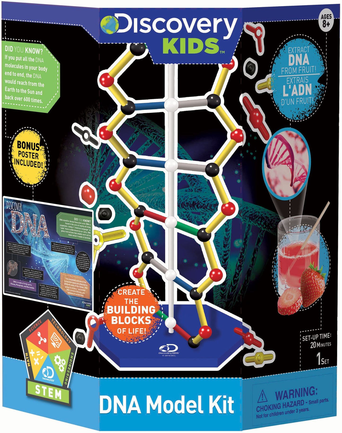 Discovery: DNA Kit (domestic)