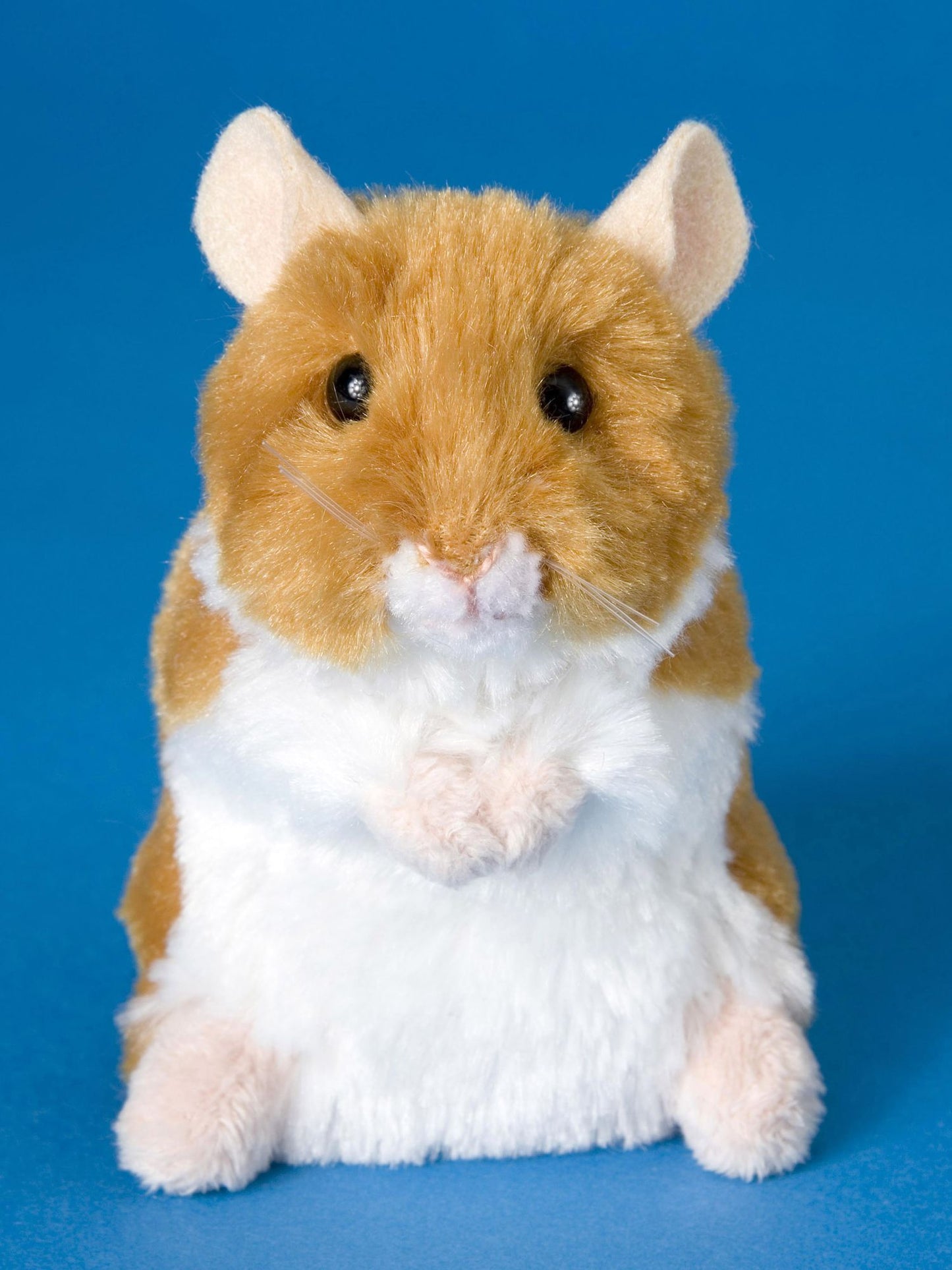 BRUSHY HAMSTER