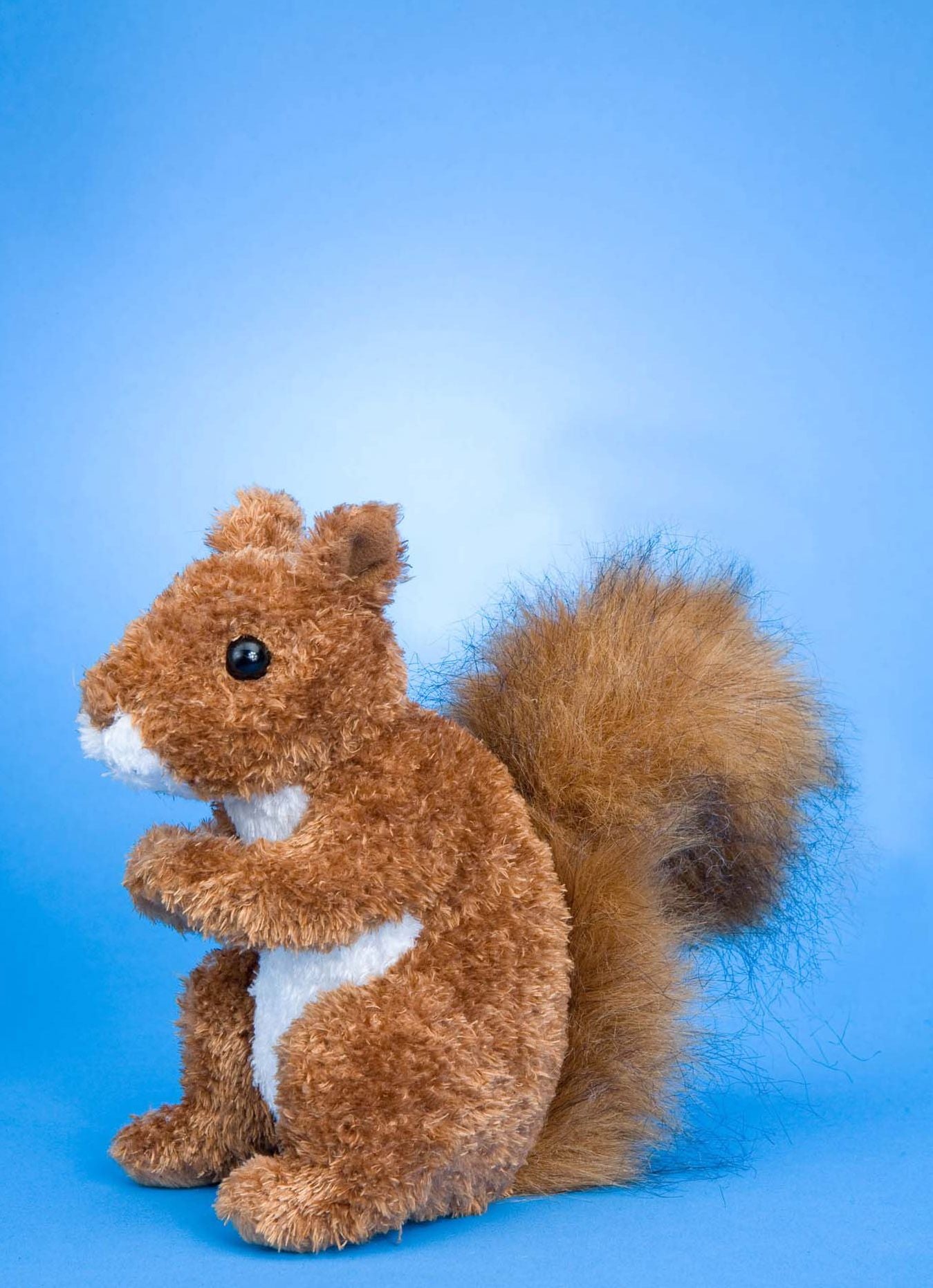 ROADIE RED SQUIRREL