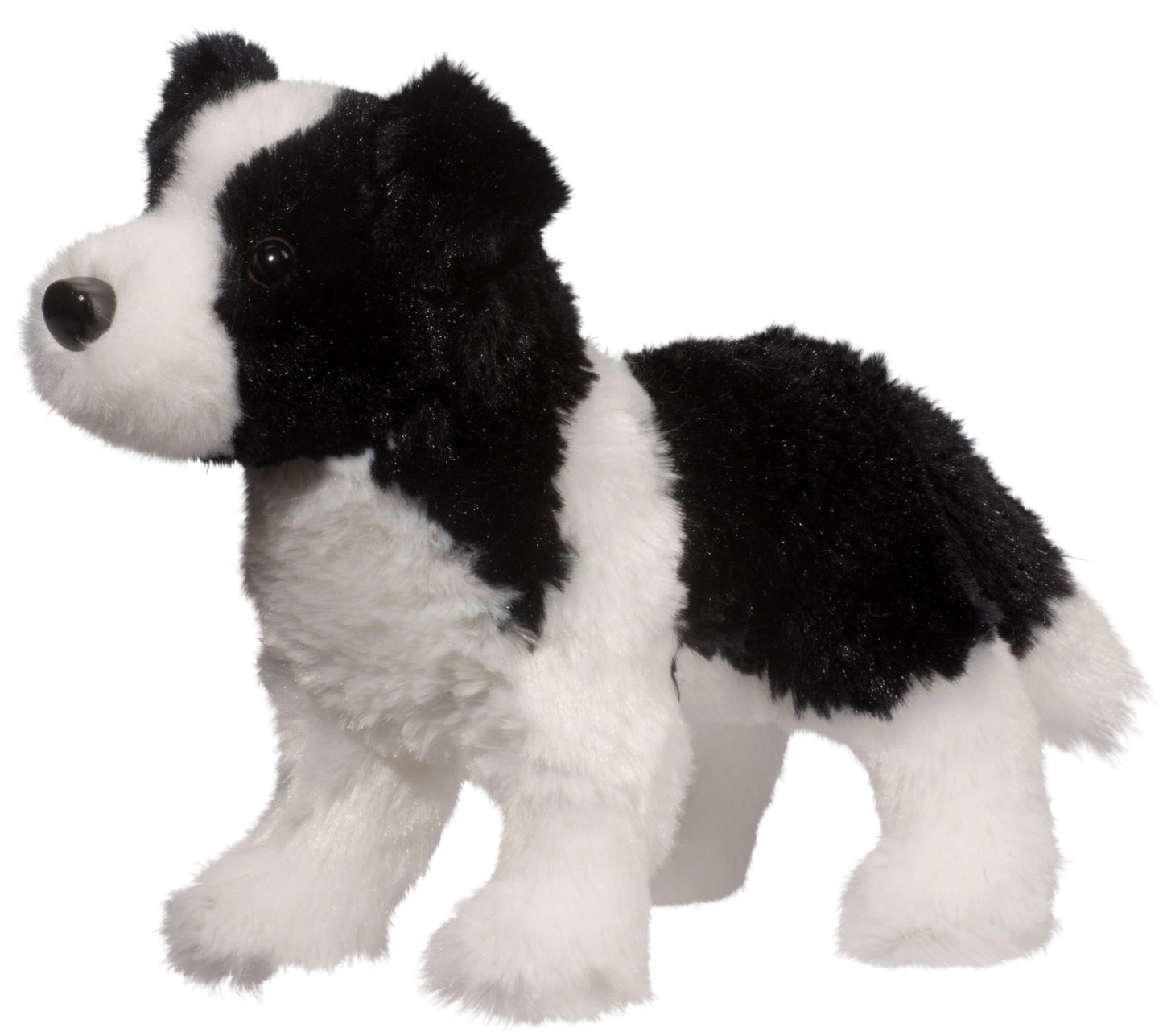 MEADOW BORDER COLLIE