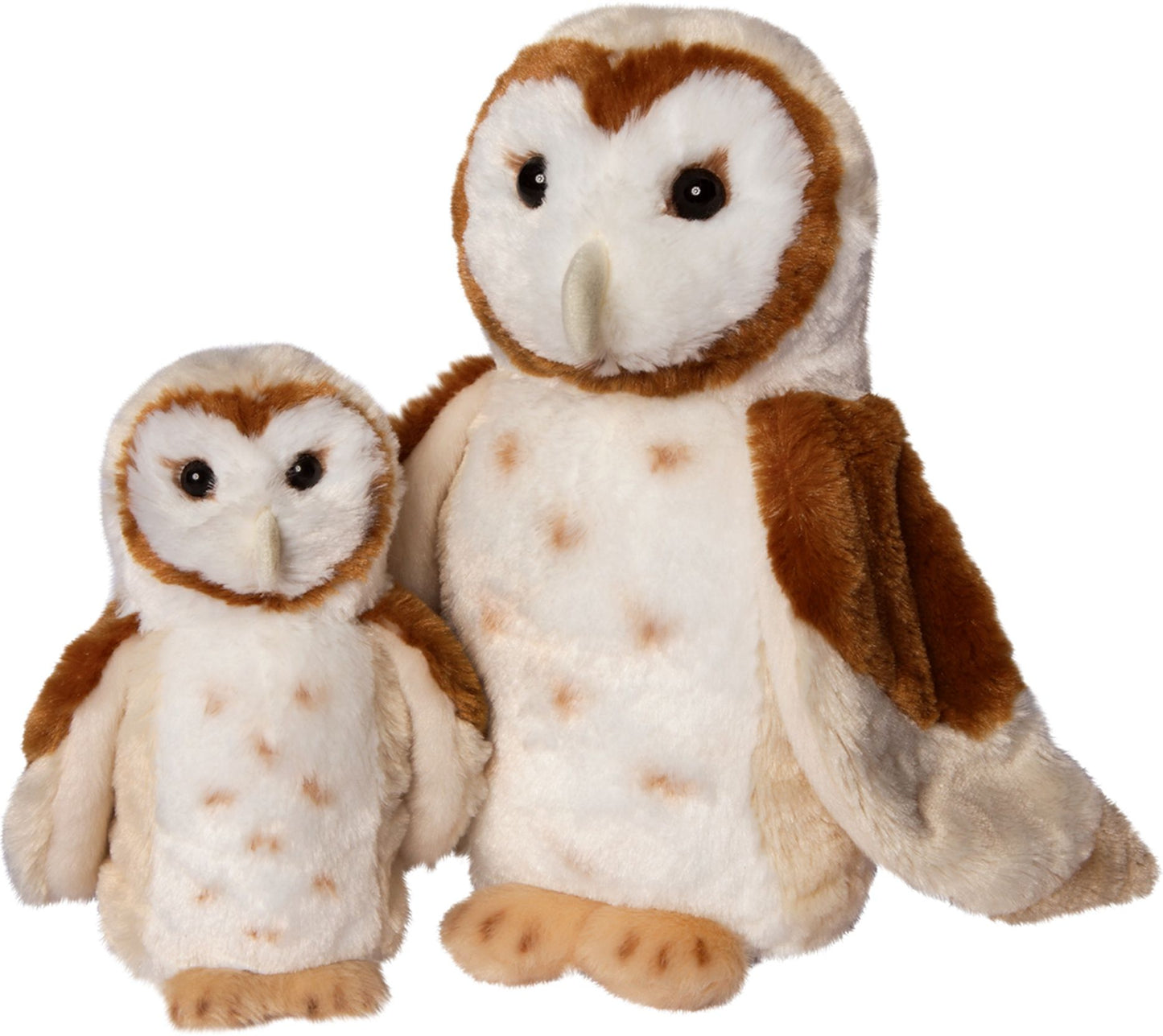 Rafter Barn Owl