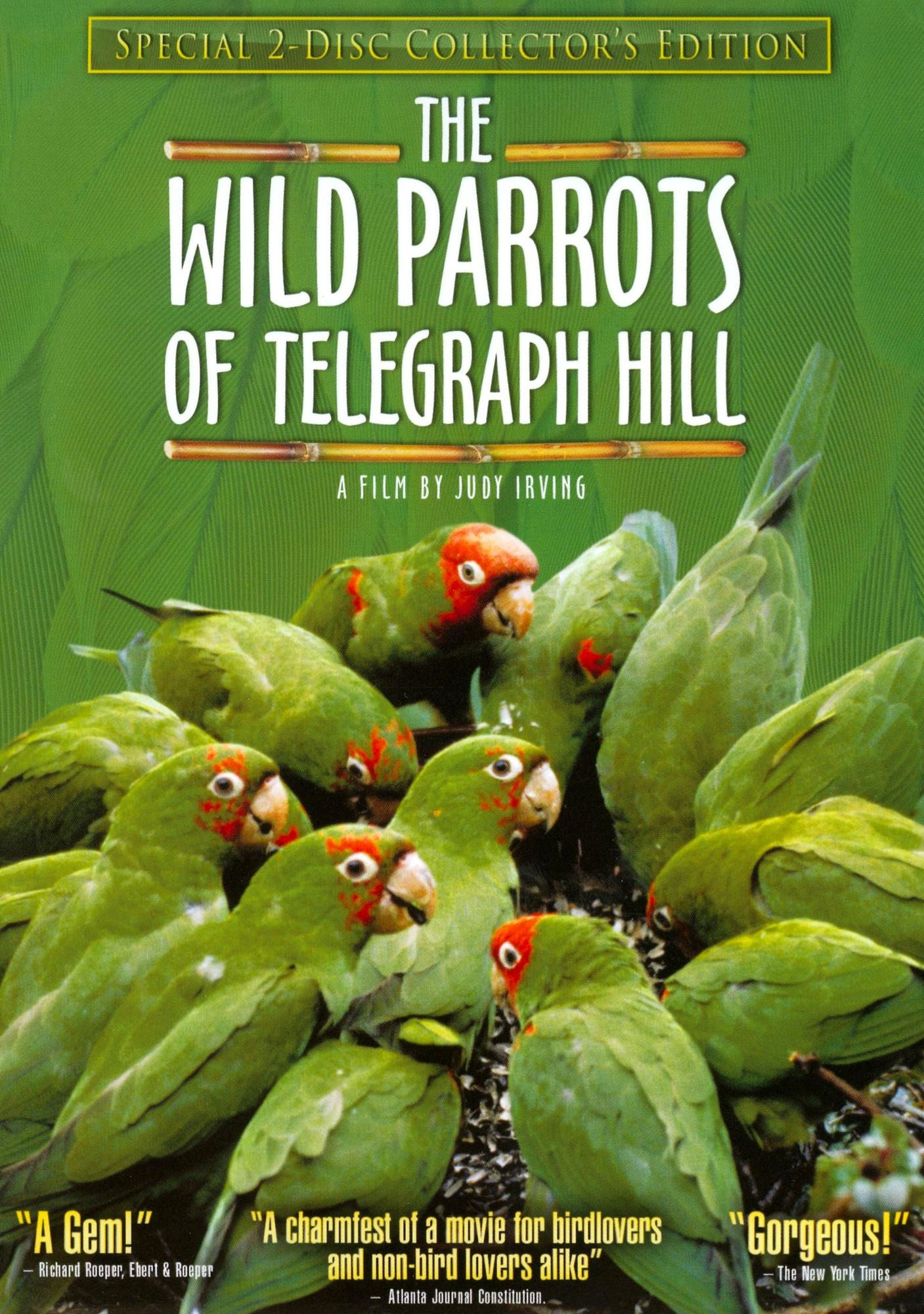 The Wild Parrots of Telegraph Hill [2 Discs] [Collector's Edition]