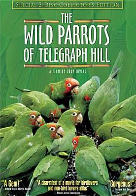 The Wild Parrots of Telegraph Hill [2 Discs] [Collector's Edition]