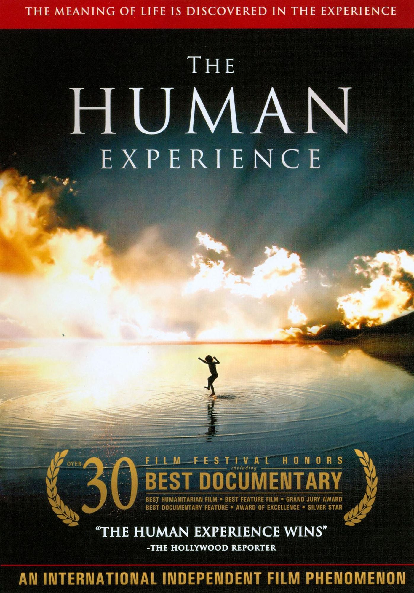 The Human Experience
